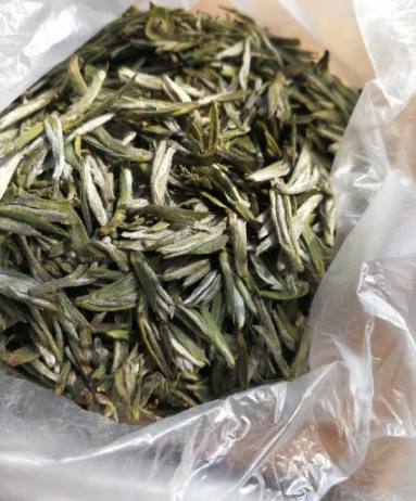 茶叶上的小茸毛是什么？这可是好茶的象征