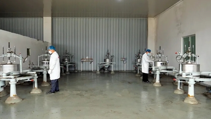 【喜迎党代会 奋进新征程】凤冈:围绕绿色食品抓工业 跑出茶叶出口加速度